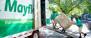 Movers or Fakers Brochure