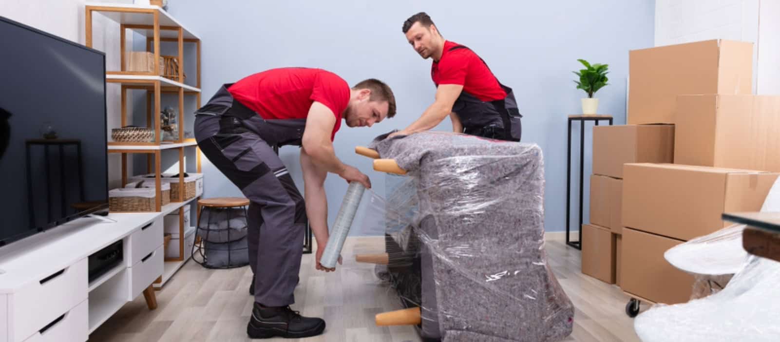 Professional Movers Pack for You