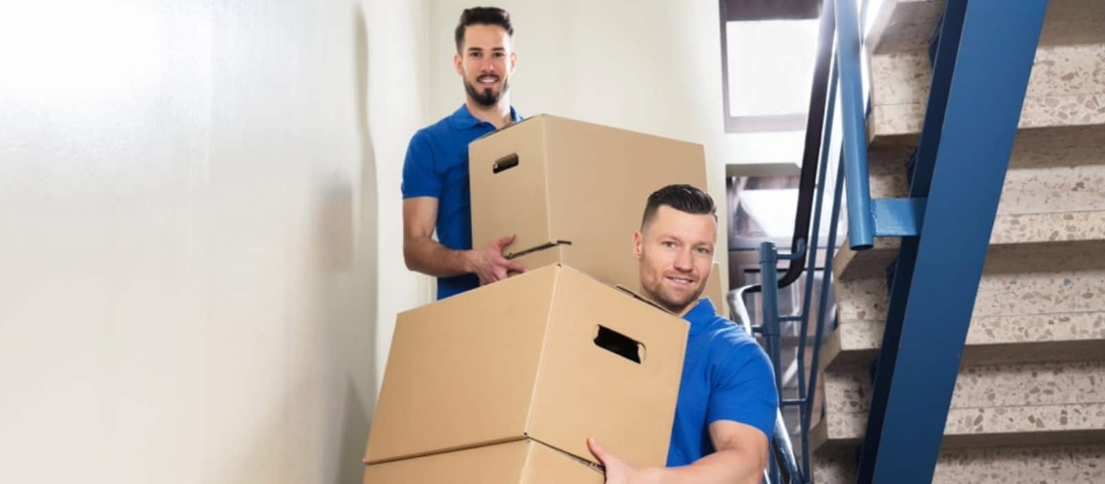 Professional Movers